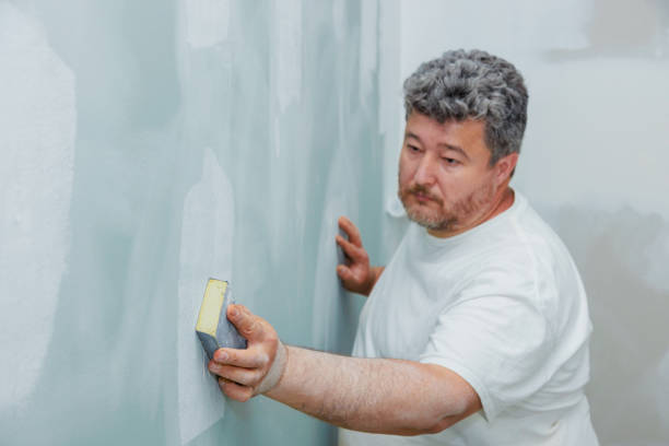 Asbestos and Lead Testing During Mold Inspection in Fish Hawk, FL
