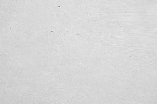 Best Mold Damage Restoration  in Fish Hawk, FL