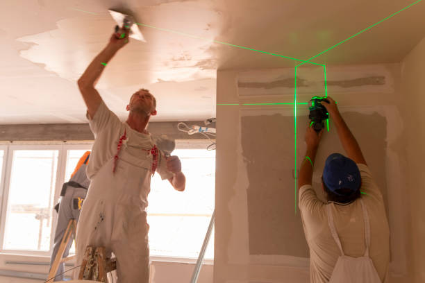Best Post-Construction Mold Inspection  in Fish Hawk, FL