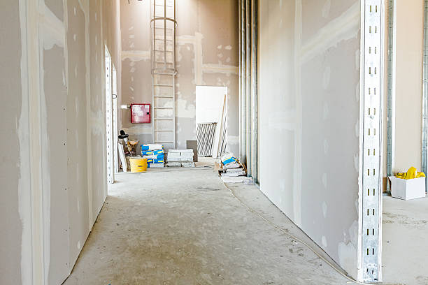 Best Environmental Consulting for Mold Prevention  in Fish Hawk, FL