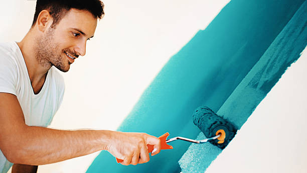 Best Basement Mold Removal  in Fish Hawk, FL