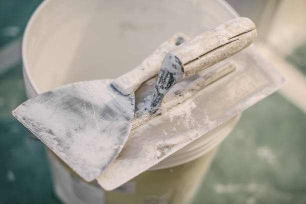 Fish Hawk, FL Mold Removal Company