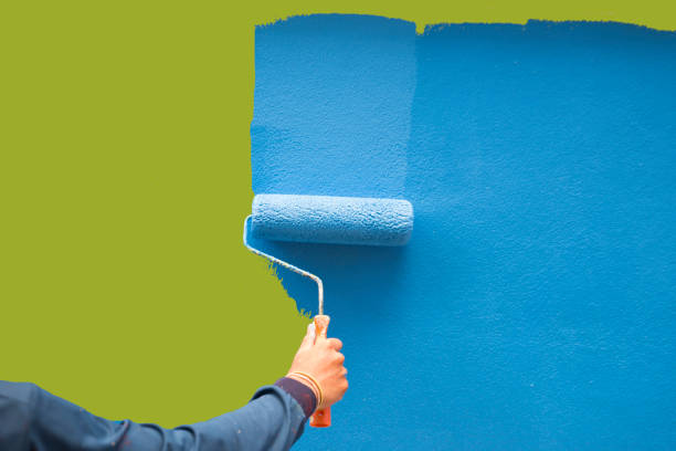 Mold Removal for HVAC Installations in Fish Hawk, FL
